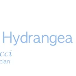 1V_GOQIkzQgKIYmmF3nu6KbaiJvST6uW_